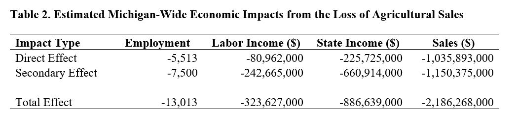 表显示货币损失的直接结果和二次效应的农业销售领域的就业、劳动收入、政府收入和销售。