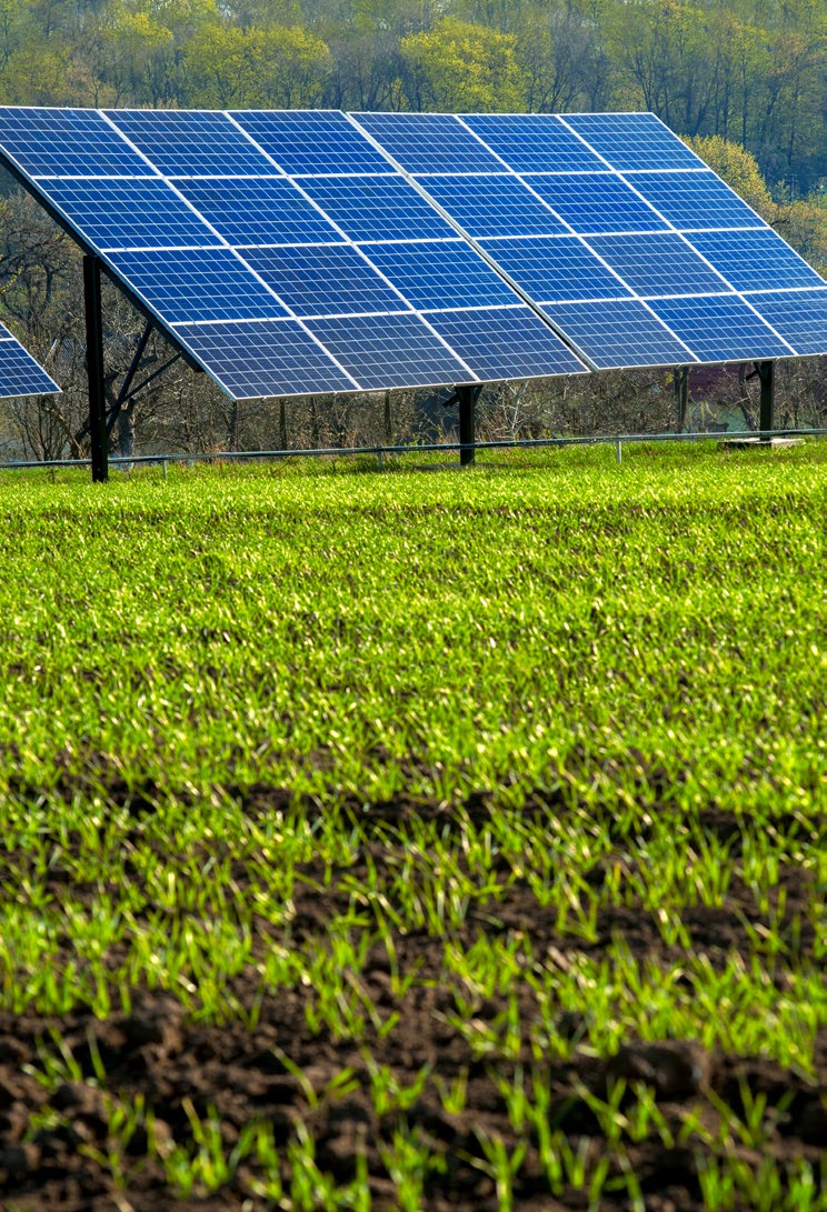 太阳能电池板安装在田地里。