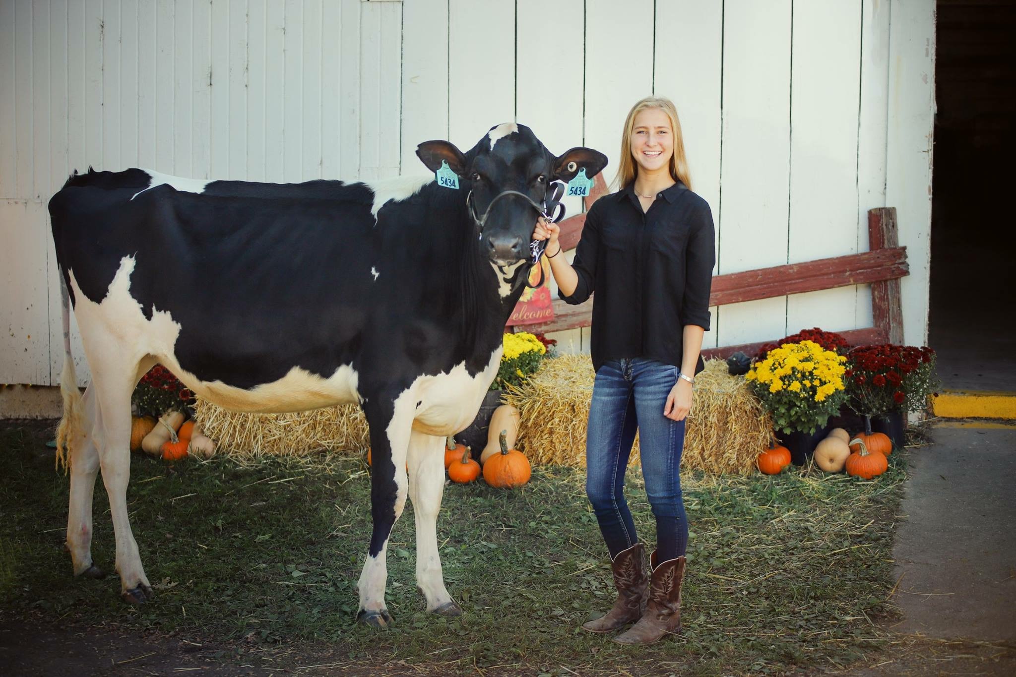 米凯拉·鲍恩和她的小母牛驼鹿。