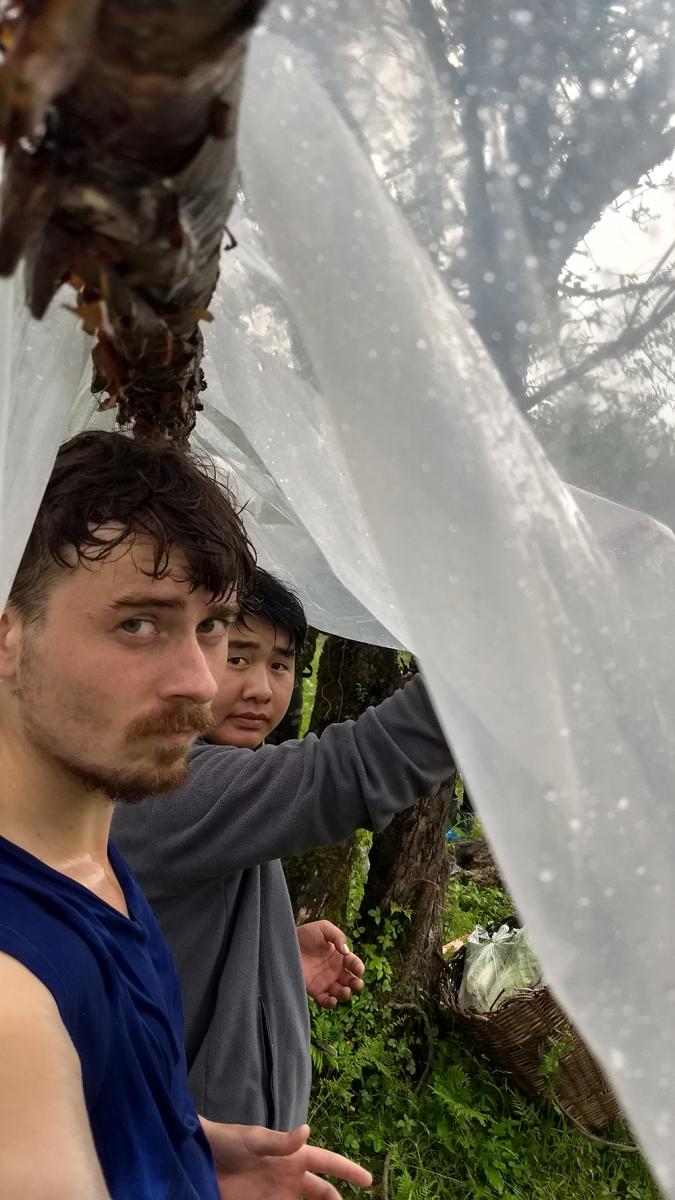 托马斯·康纳和同事在中国森林采集