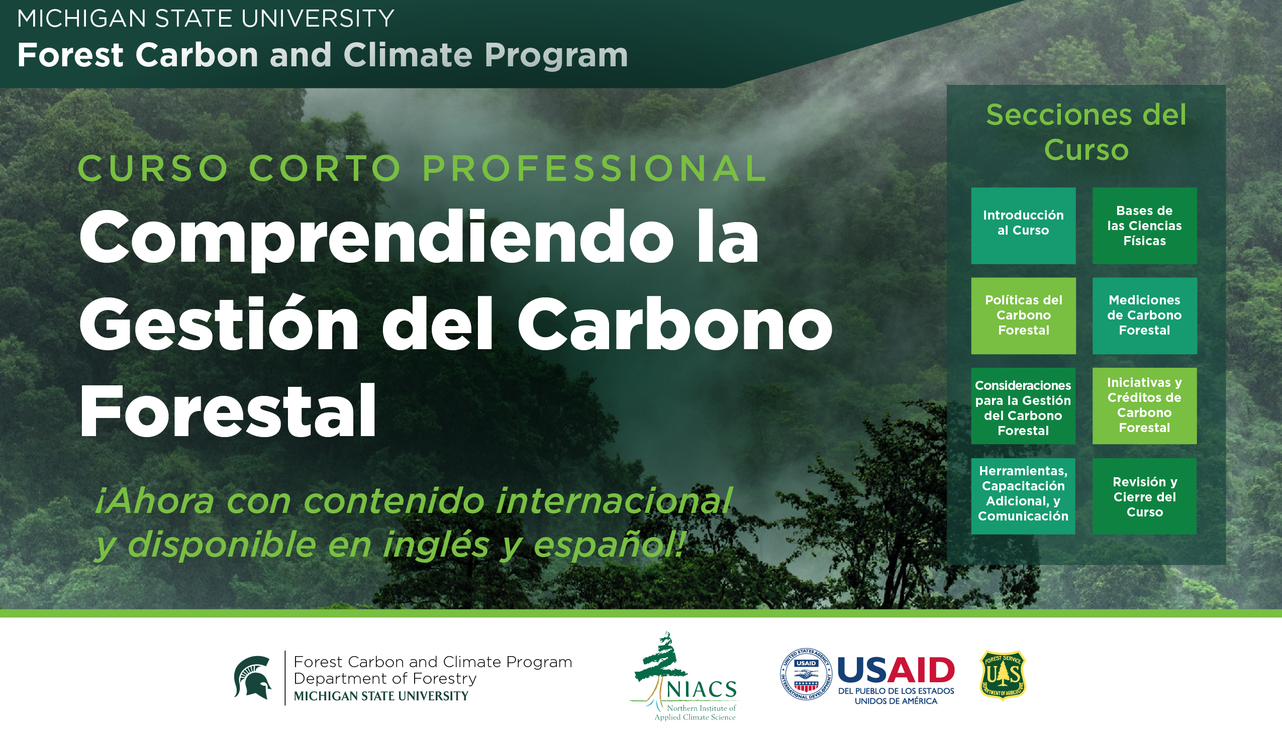 关于森林碳排放的综合资料Gestión，关于国际一次性碳排放的综合资料español