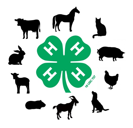 4 - h +动物+标志