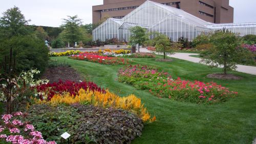 植物和土壤科学大楼，温室和盛开的花园