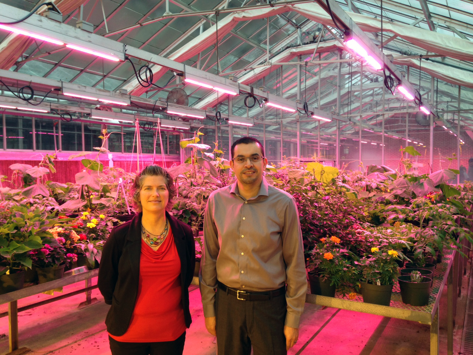 园艺系的教员克里斯汀·格特和罗伯托·洛佩兹在密歇根州立大学的一个教学温室里。