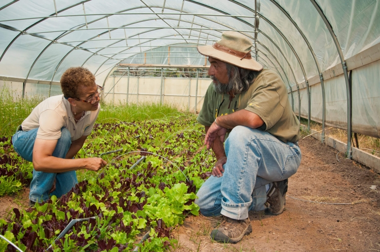 一个女人和一个男人跪在温室里讨论农作物。
