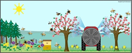 图为农药喷雾器在一个有蜜蜂的领域