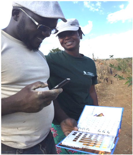 Vimbayi Chimoyo博士在马拉维演示土壤应用程序