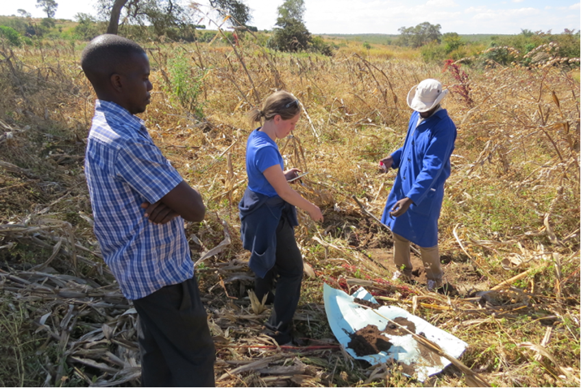 美国国际开发署SIIL项目:Alison Nord评估坦桑尼亚的可持续土壤管理