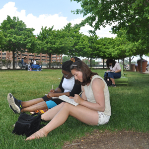 学生们坐在百丽岛的一个公园里，为他们的学生公园项目画草图