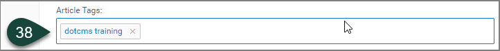 在Tags字段中显示一个标签示例。