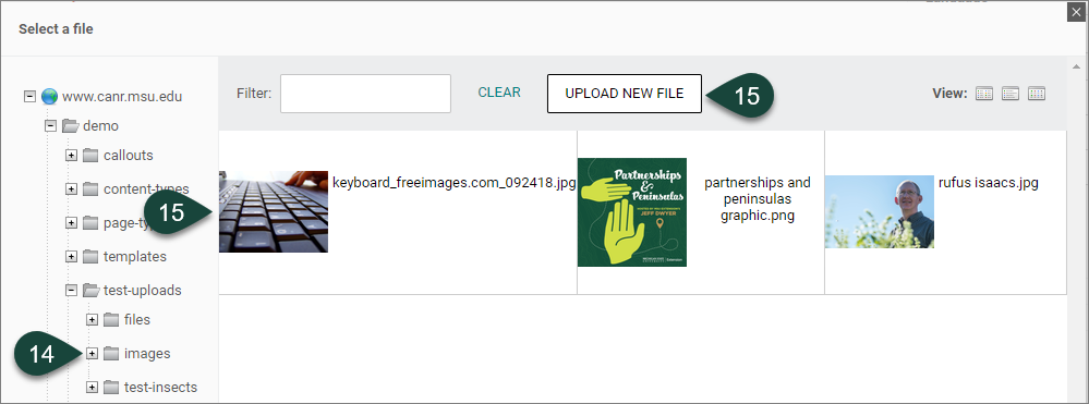 显示“选择文件”窗口,您可以在其中上传图像。
