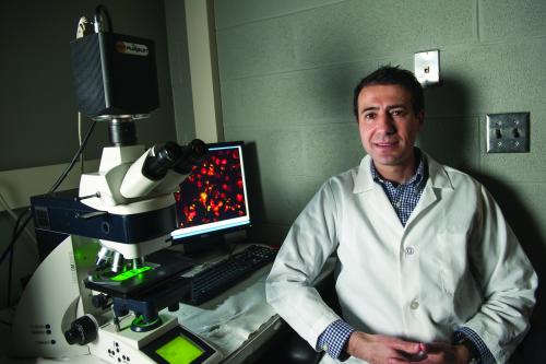 密歇根州立大学微生物学和分子遗传学助理教授罗伯特·阿布拉莫维奇(Robert Abramovitch)正在致力于开发治疗结核病的新抗生素，在过去40年里，结核病只出现了一种药物治疗方案。阿布拉莫维奇强调了基础生物学发现在开发新抗生素过程中的重要作用。