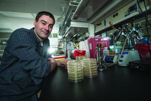 密歇根州立大学微生物学和分子遗传学助理教授克里斯托弗·沃特斯(Christopher Waters)正在利用他在化学信号方面的知识开发新型药物，以防止细菌产生生物膜，这是一种细胞外的“盾牌”，使细菌对免疫和抗生素防御更具耐受性。他认为，为药物管道补充燃料是一项需要持续研究支持的关键任务。bob体育登录