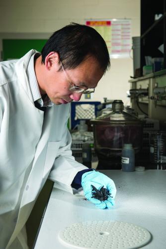密歇根州立大学植物、土壤和微生物科学系助理教授张伟在他的实验室里检查生物炭样本。